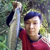 thanhgokh67