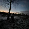 bvkxr_