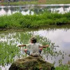 pangerankhodok12
