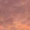 gracecomsjd