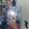 cinta_2814