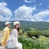 p.pan96