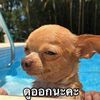 00kang93