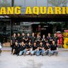 Ylang Aquarium