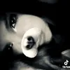 lii.ly05