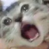 pengjianrui