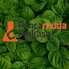 Pancamudastore