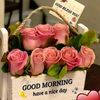 shah___mobashira05