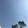 namdepchai01