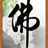 vui43.85
