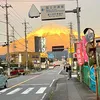 _oggy_yuki_7