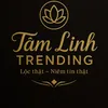 tamlinhtrending