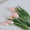 fatimah67010770