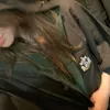 souzzxes