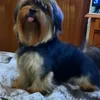 beatrizbaffaestev