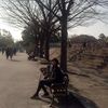 cholticha_ple