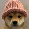 pazi_25