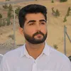 zansst_99