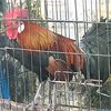mohdsyamsul6