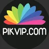 pikvipstudio