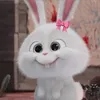 dinhtham49