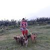 fahmidogshow
