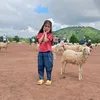 thuaanphan
