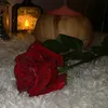ضوء القمر.M.