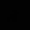 33eevee