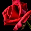 lopehurt_0123