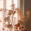 flowersly04