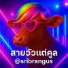 moomoo.app