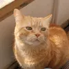 rainerdumkow