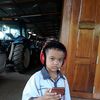 auto555555