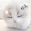 Mimi ꒰ঌ(˶ˆᗜˆ˵)໒꒱