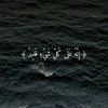 abdelrhman_mohamed_75