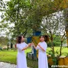 chungthuy71