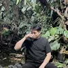 viethoang0112