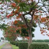 van04054