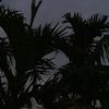 miracle_3210
