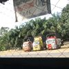 copet0924