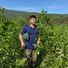 nguyend85