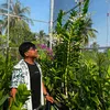 vothai_110991