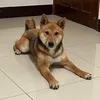 xbta