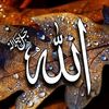 mohamedahmed9224