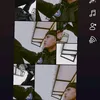 wahyu00._