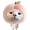 anhthoxinh8