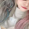 risap_2