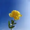luu_ly_8868