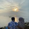 ardinott_